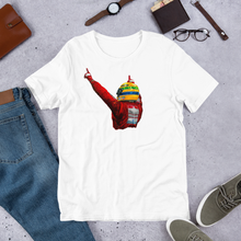 Load image into Gallery viewer, Ayrton Senna Tribute